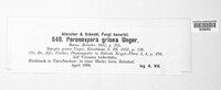 Peronospora grisea image